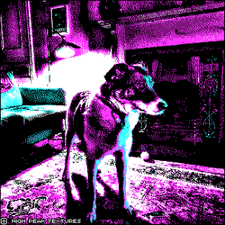 pixel