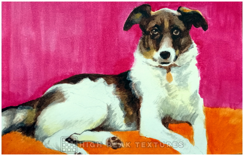 painting wilma 01