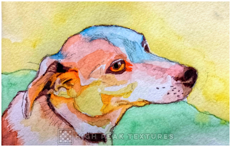 painting of max dog
