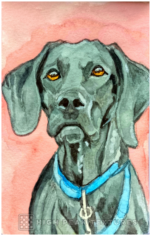 painting of jeff dog