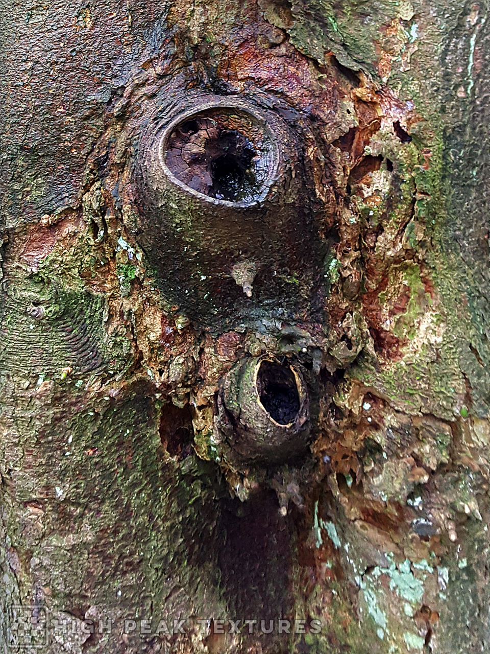 image 06